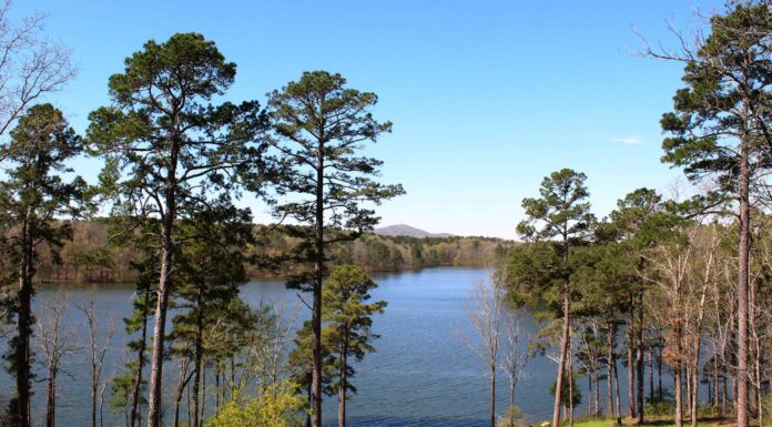 Scopri il lago più profondo dell'Arkansas
