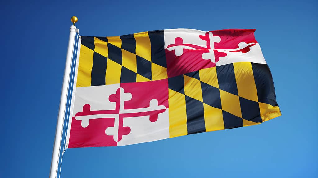 bandiera del Maryland