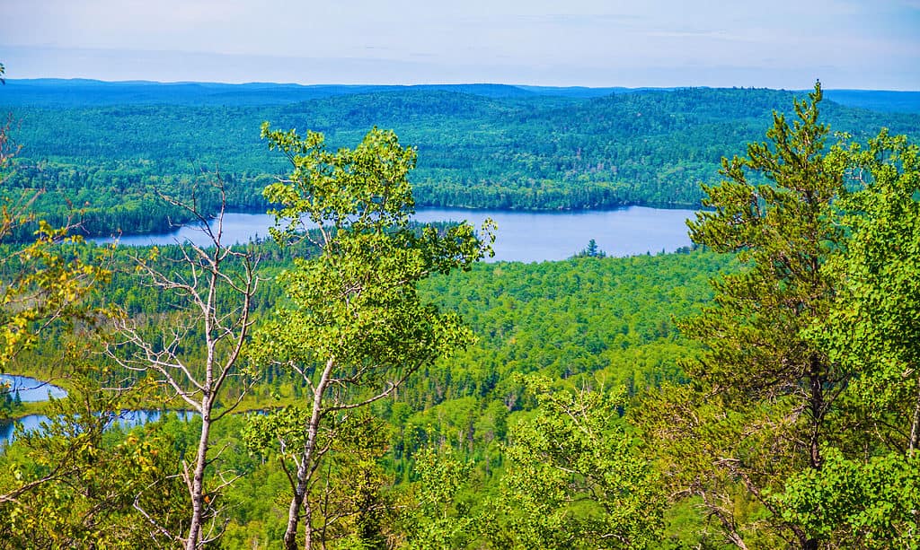 Montagna dell'Aquila, Minnesota