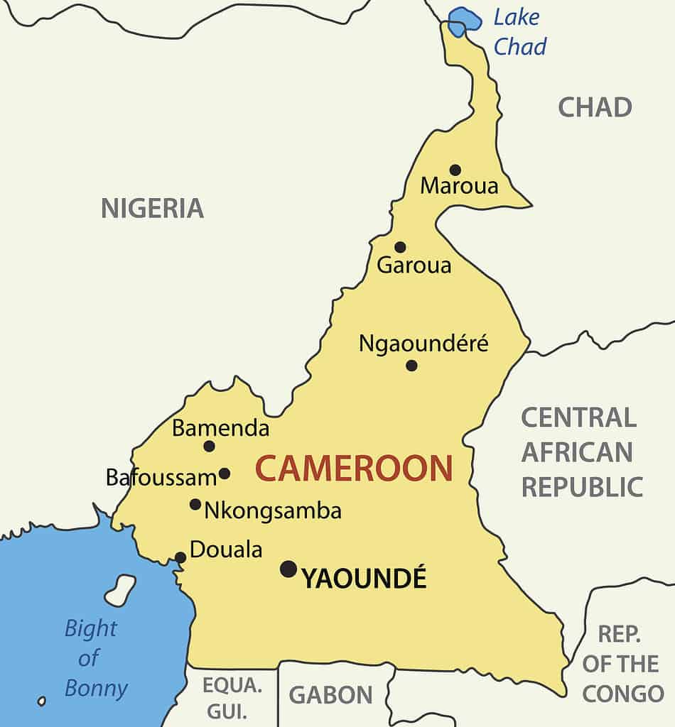 Mappa della Repubblica del Camerun
