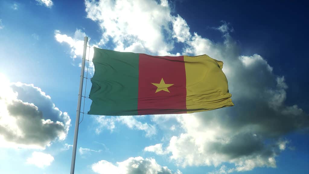 Bandiera del Camerun che fluttua nel vento