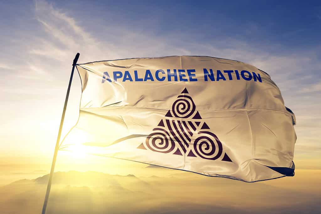 Apalachee Nation bandiera tessuto panno tessuto sventolando sulla nebbia foschia alba superiore