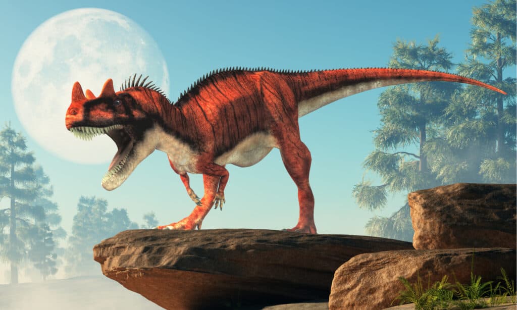 Ceratosaurus - Dinosauri con le corna