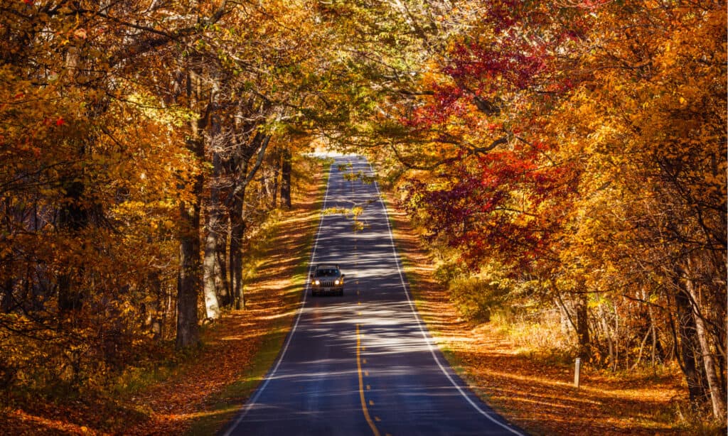 Parco nazionale di Shenandoah - Skyline Drive