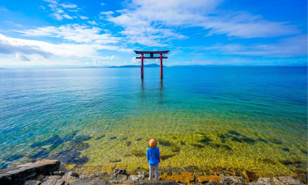 Il persico trota più grande del mondo mai catturato è stato nel 2009 dal lago Biwa in Giappone