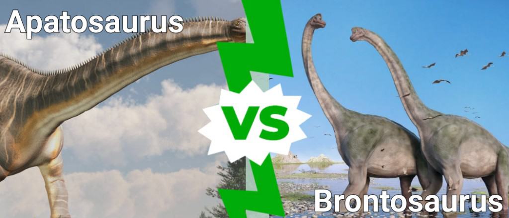 apatosauro vs brontosauro