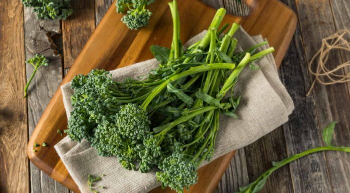 Broccolini vs Broccoli