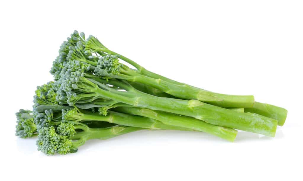 Broccolini vs Broccoli Rabe