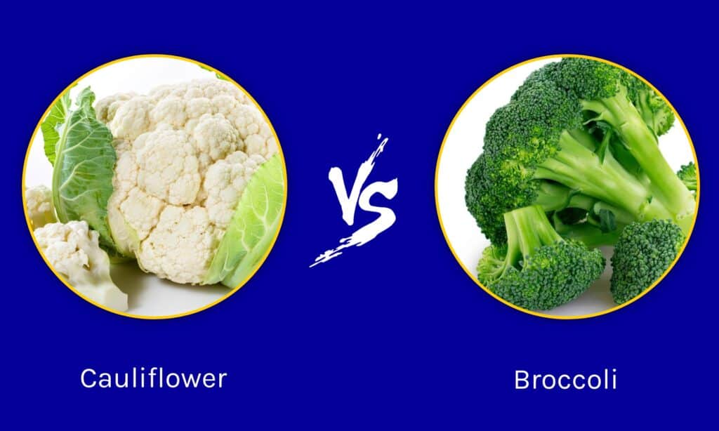 Cavolfiore vs Broccoli