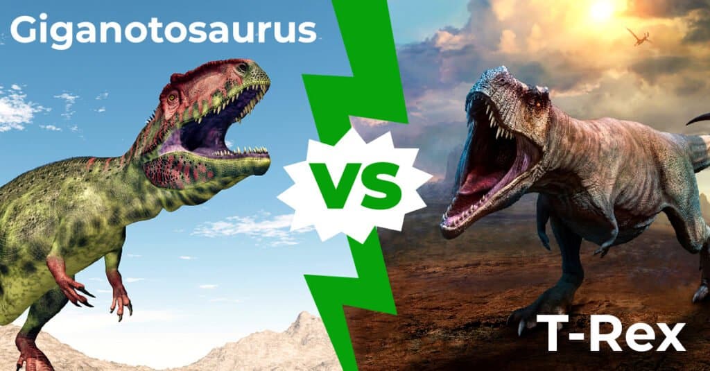 Giganotosauro contro T-Rex