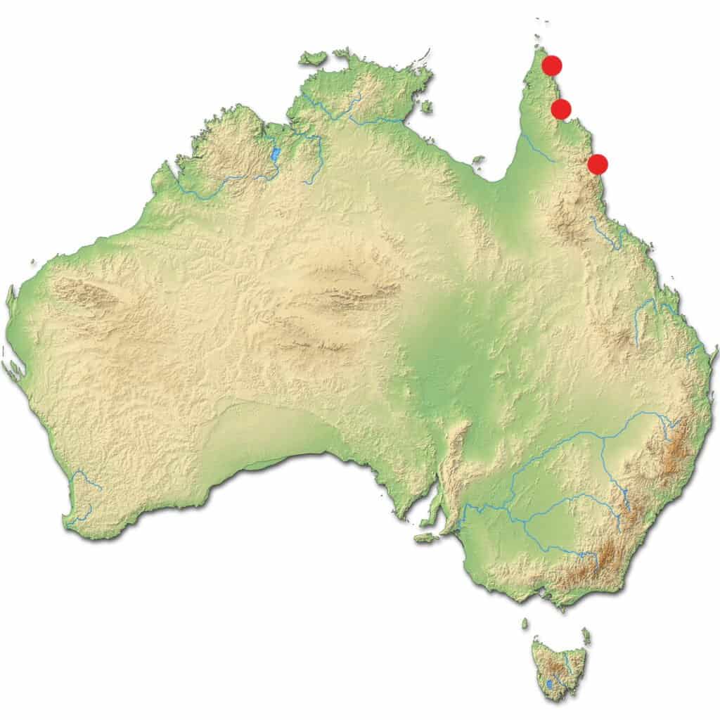 Dove vivono i casuari - Sedi in Australia