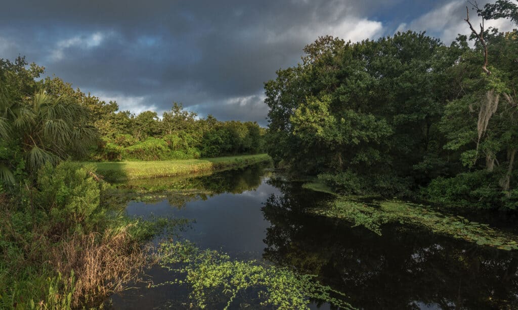 Lago Sawgrass