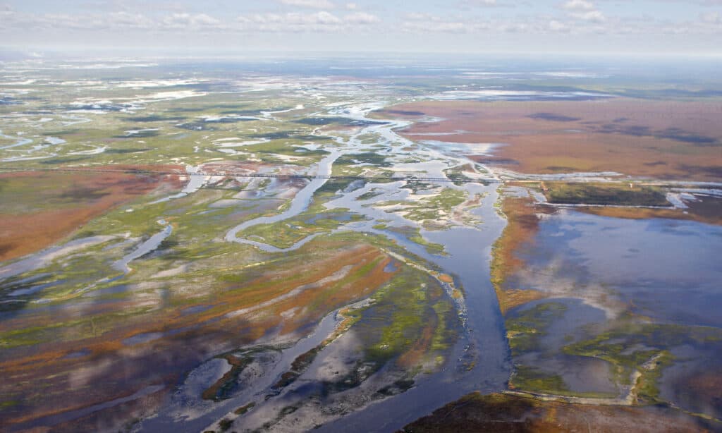 Lago Bangweulu