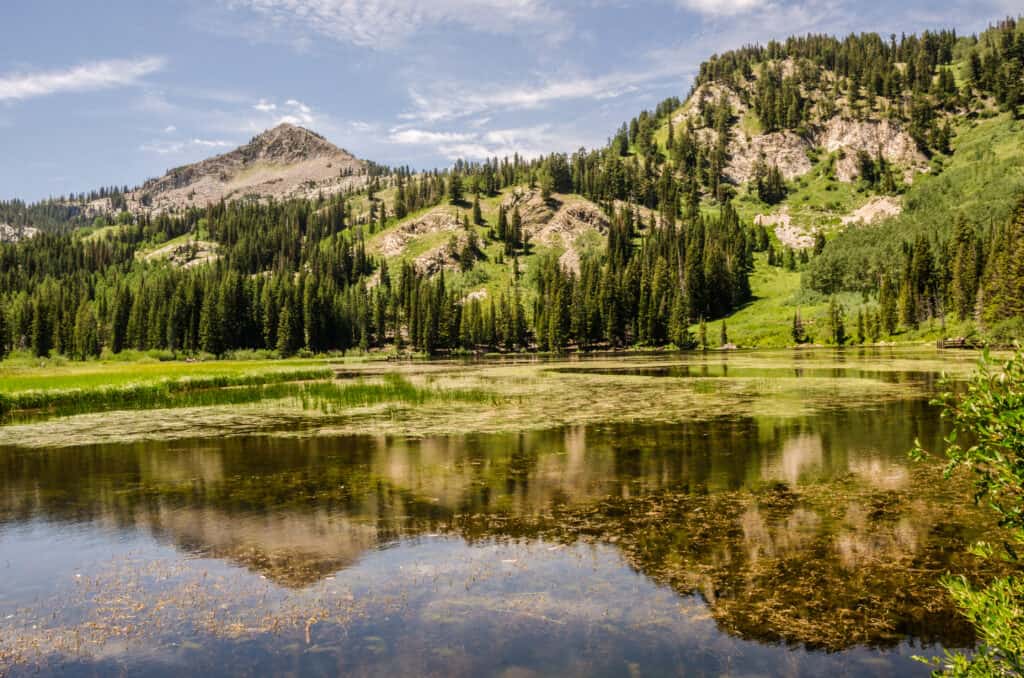 Le Wasatch Mountains si riflettono nel Silver Lake dello Utah.
