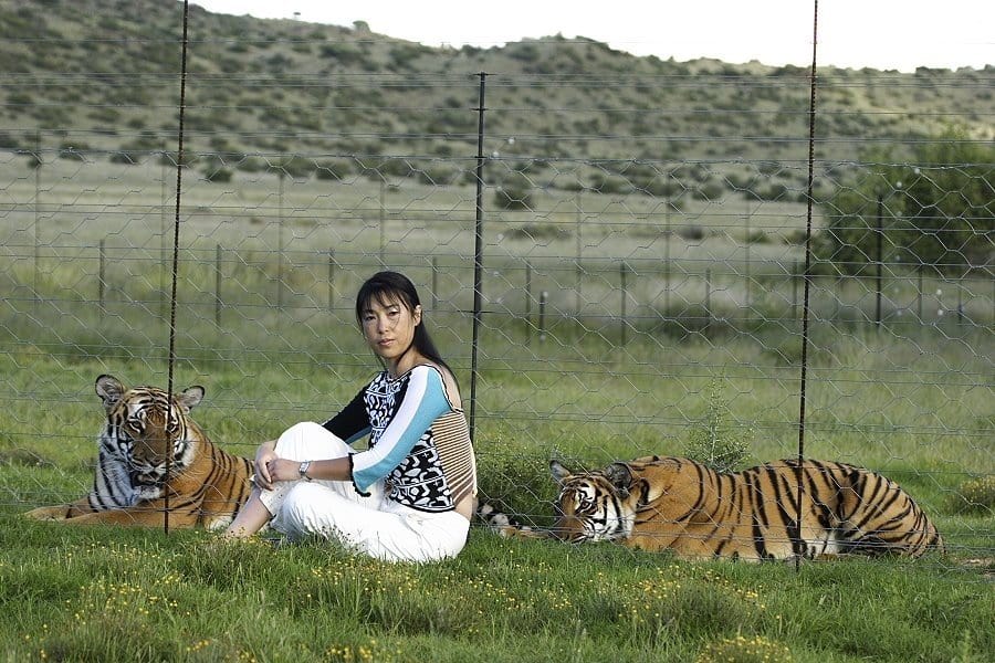 Famosi ambientalisti: fondatore di Save China's Tiger, Li Quan