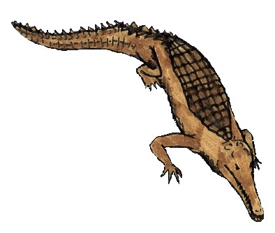 I più grandi coccodrilli di sempre: Gryposuchus croizati
