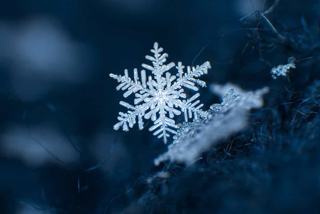 Singolo fiocco di neve con sfondo blu scuro e cupo