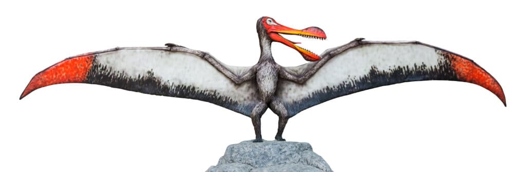 Ornithocheirus aveva un becco a forma di clava.