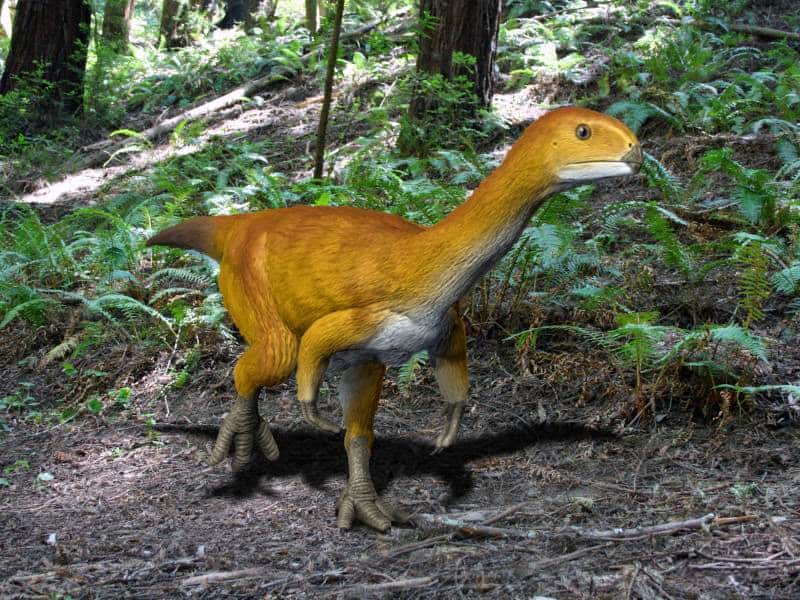 Rappresentazione artistica 3D di Chilesaurus