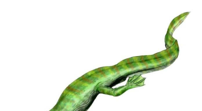 Hovasaurus