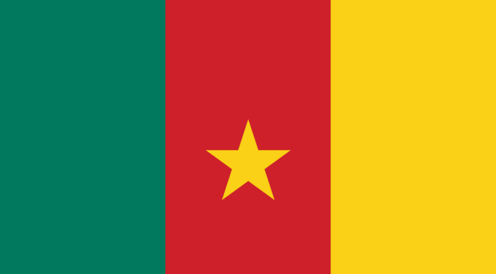 La bandiera del Camerun: storia, significato e simbolismo
