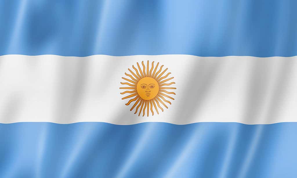 La bandiera dell'Argentina