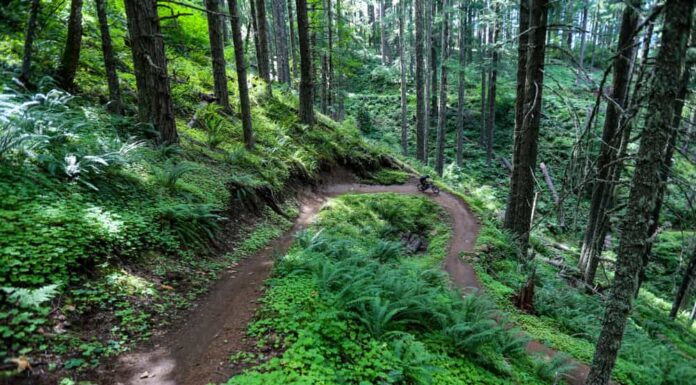 Oregons longest biking trail