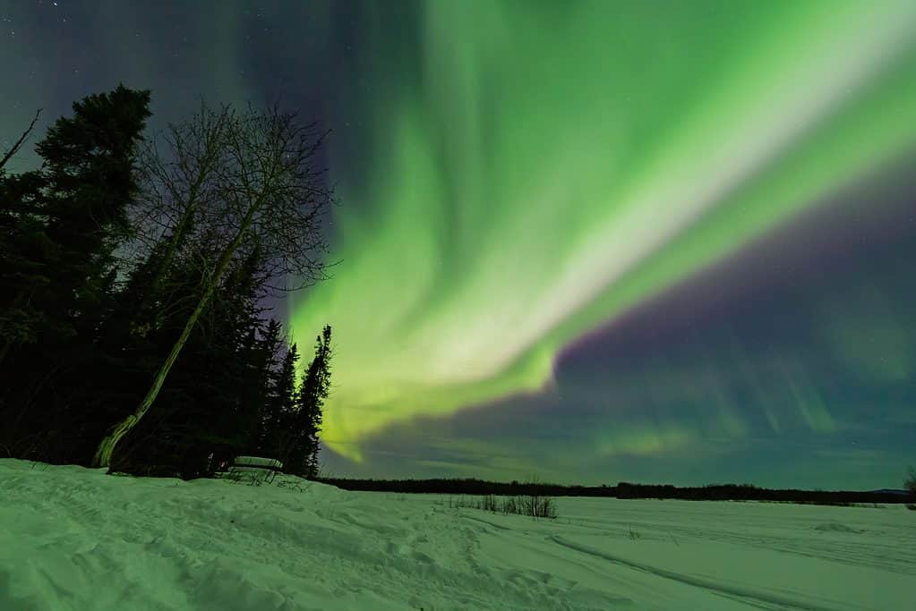 Bella aurora nel cielo notturno a Chena Lakes, Fairbanks, Alsaka