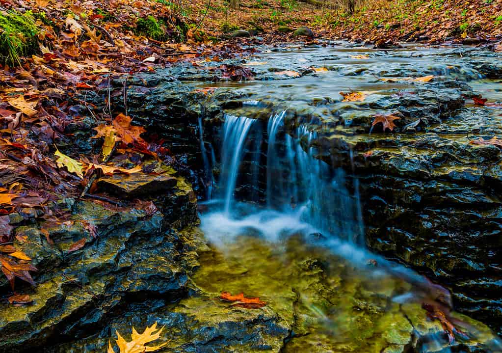 McConnell's Mills State Park