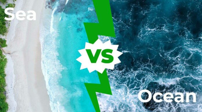 Mare vs Oceano: le principali differenze
