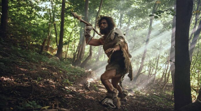 Neanderthal vs Homosapiens: spiegate 5 differenze chiave
