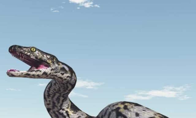  OH!  Scopri il più grande fossile di serpente mai trovato
