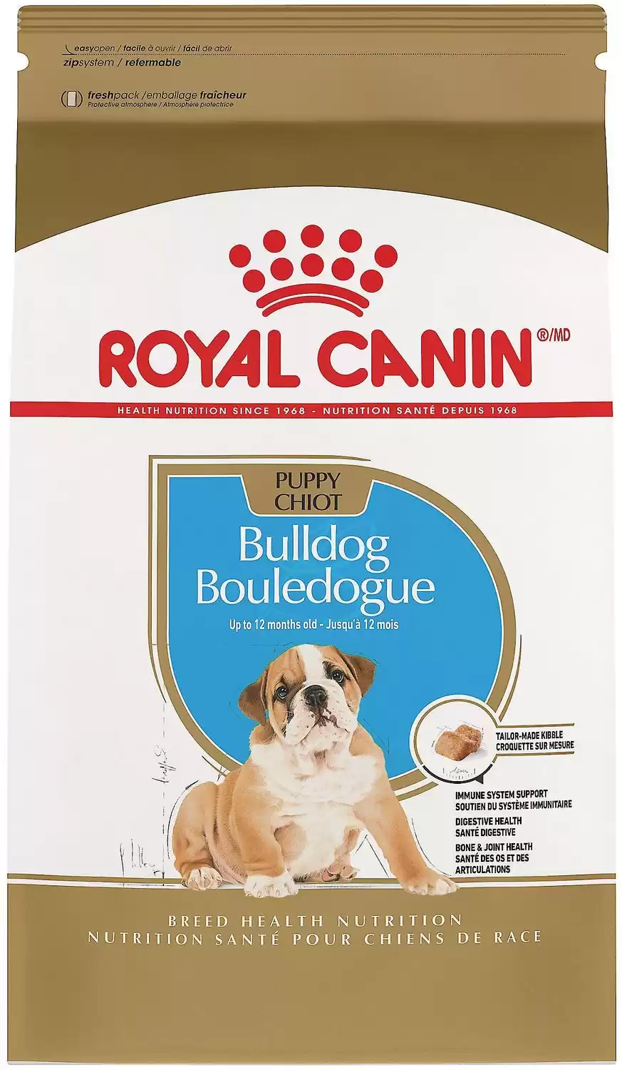 Cucciolo di bulldog Royal Canin Breed Health Nutrition