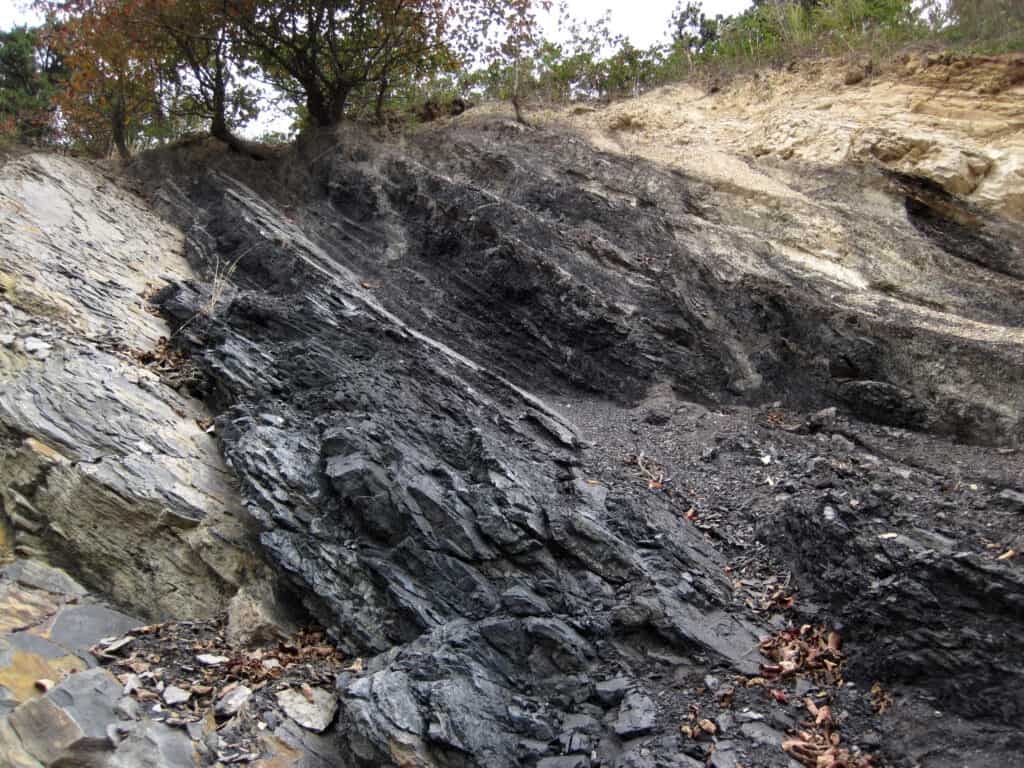 Carbone invecchiato nel Mississippiano durante il periodo carbonifero.