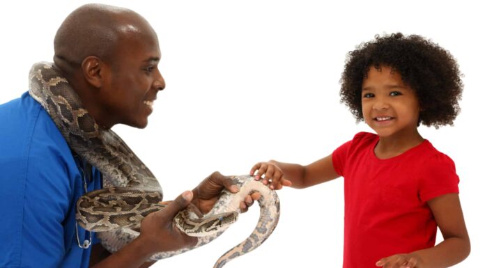 Quanto costa acquistare, possedere e prendersi cura dei serpenti domestici?
