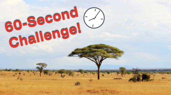 Riesci a individuare il leone mimetizzato in meno di 60 secondi in questa sfida virale?
