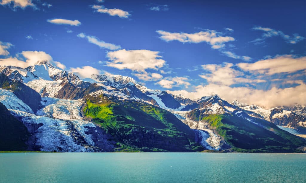 I migliori parchi nazionali da visitare a luglio - Glacier Bay National Park