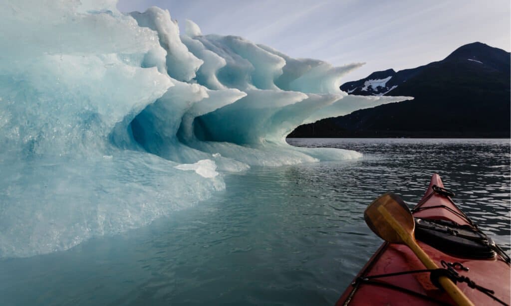 Parco nazionale dei fiordi di Kenai