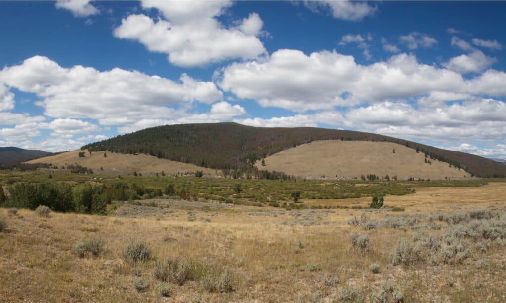 Campo di battaglia nazionale di Big Hole