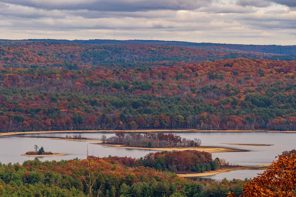 Una vista sul bacino idrico di Quabbin nel Massachusetts.