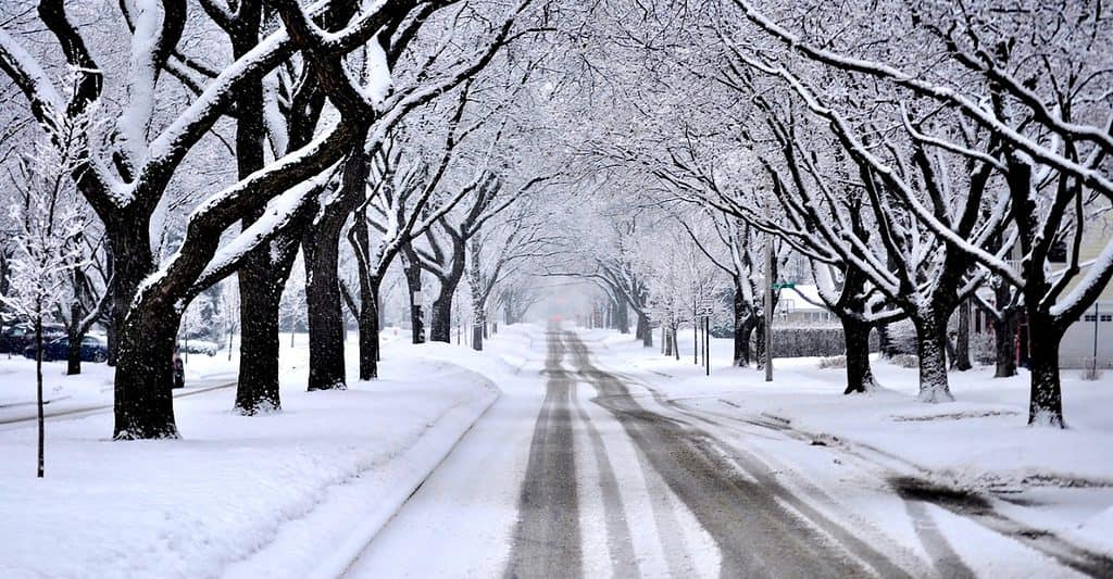 strada durante l'inverno