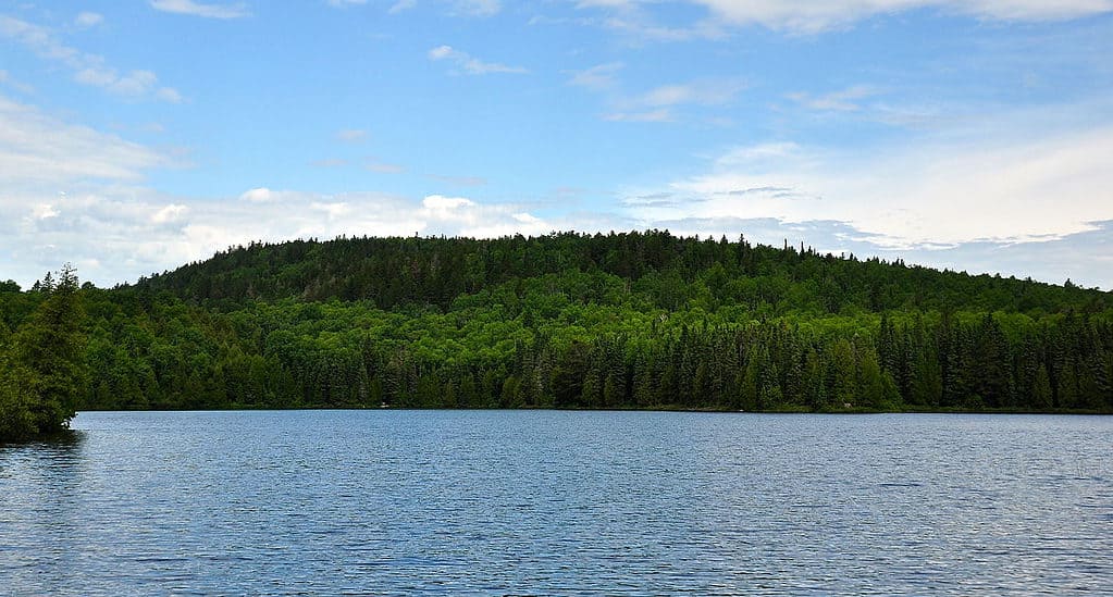 Montagna dell'Aquila, Minnesota