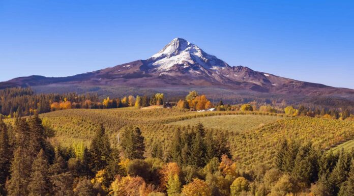 Scopri il punto più alto dell'Oregon
