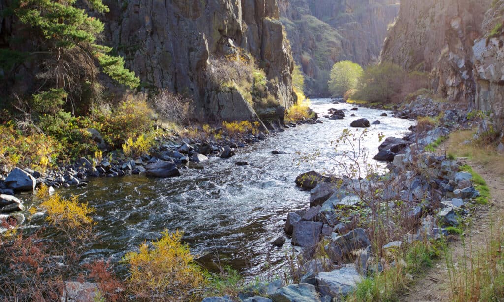 Area ricreativa nazionale dell'Hells Canyon