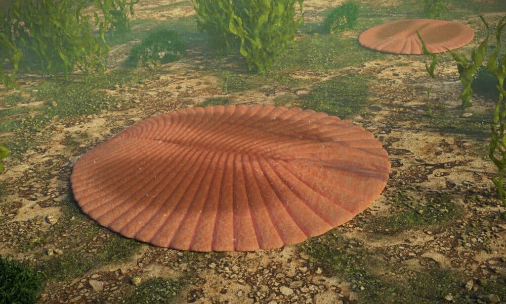 dickinsonia - l'animale di 567 milioni di anni che sembrava una foglia