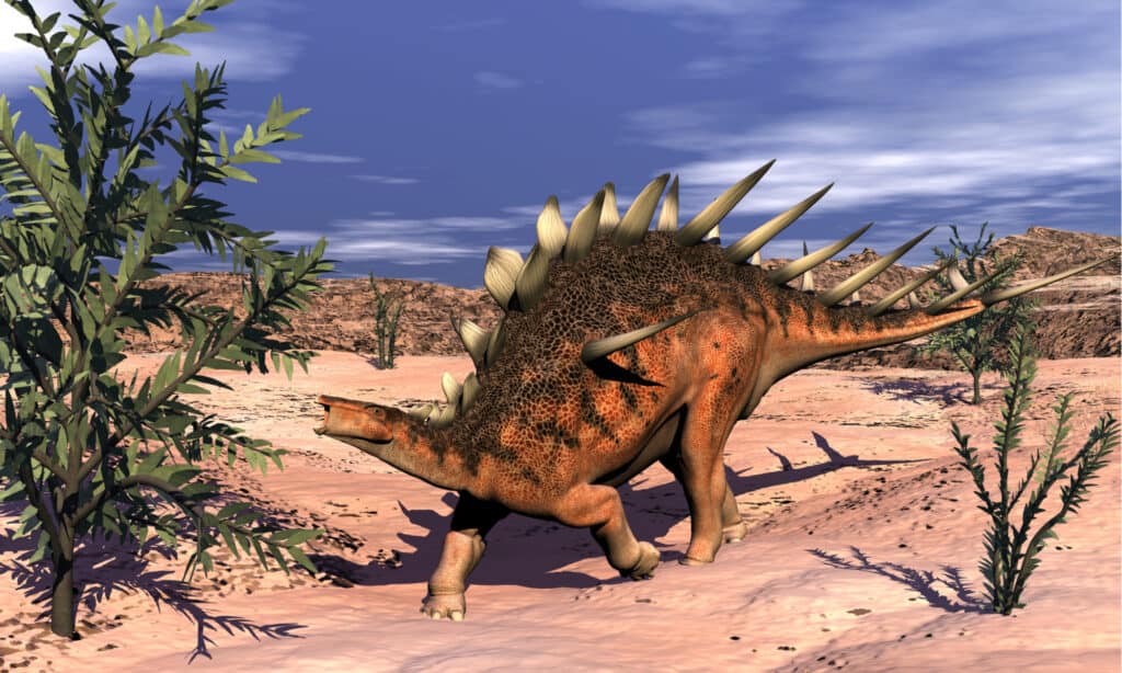 Kentrosauro che mangia