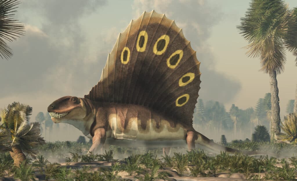 dimetrodon