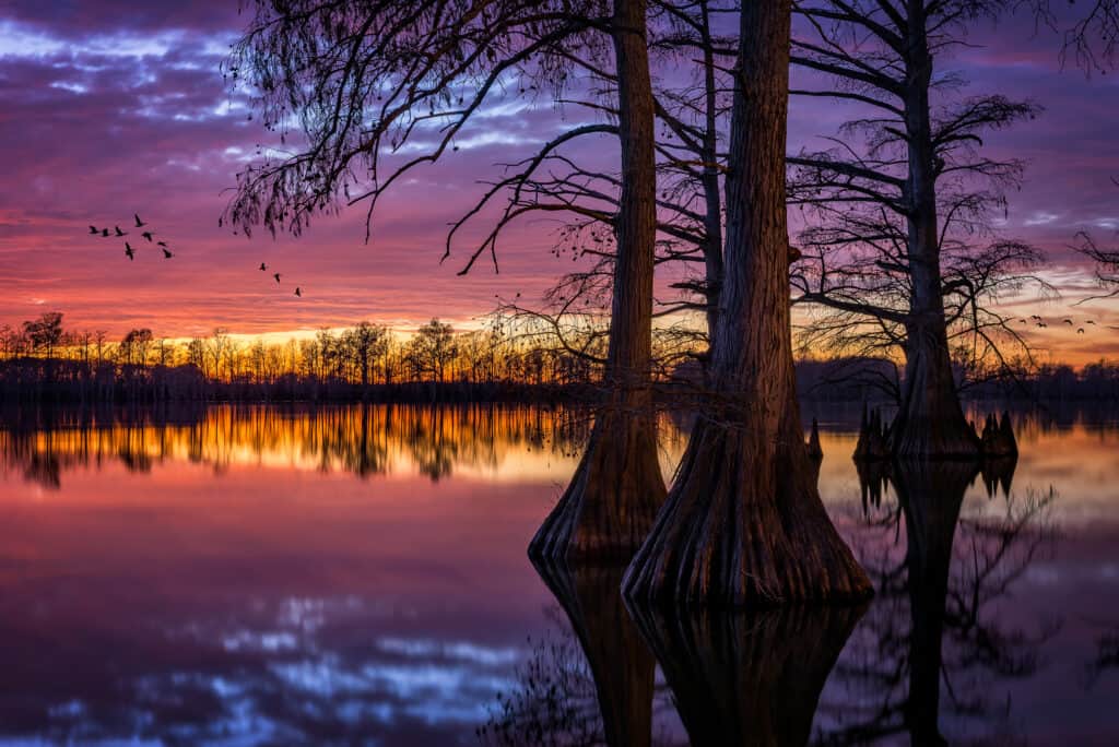 Lago a ferro di cavallo, Illinois