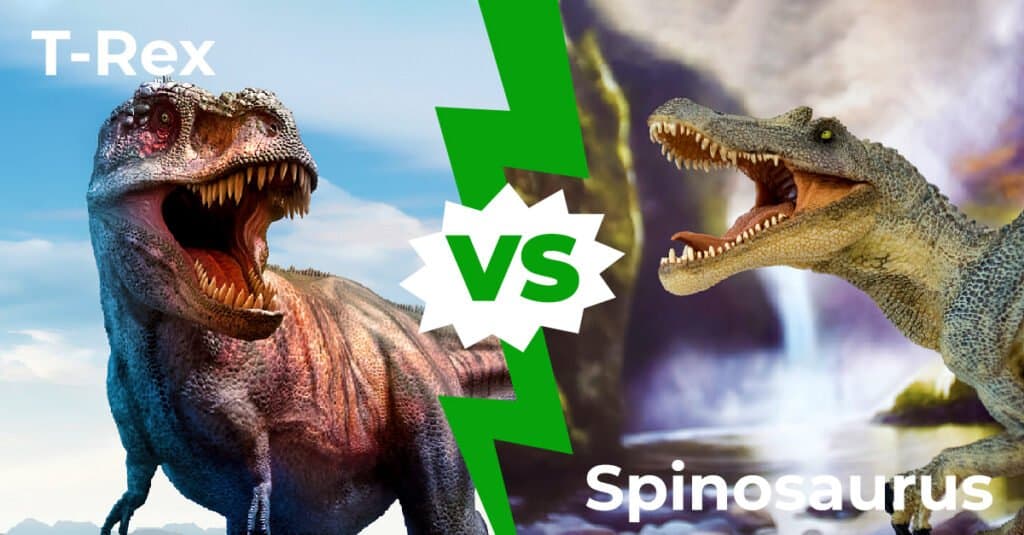 T-Rex contro Spinosauro