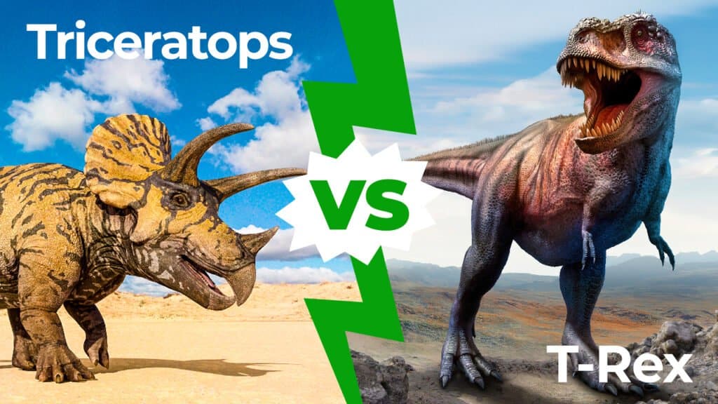 Triceratopo vs T-Rex 1280x720